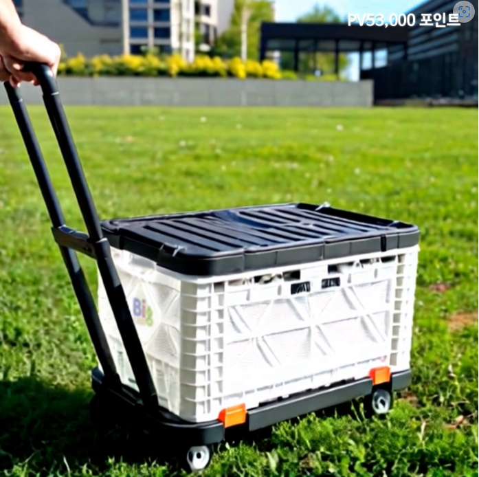 빅엘리 핸드카트 SET