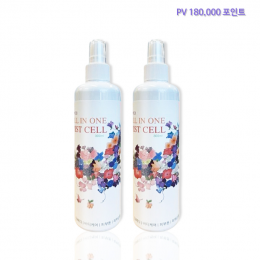 시원 올인원 미스트 2개 묶음