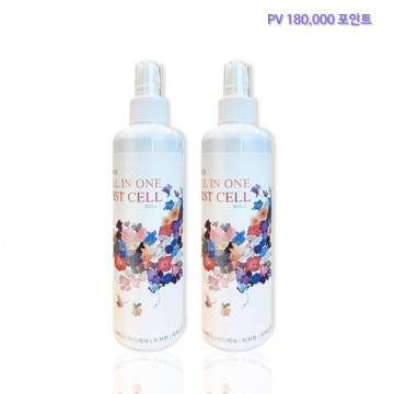 시원 올인원 미스트 2개 묶음