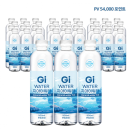 지아이워터 3팩 (60병)